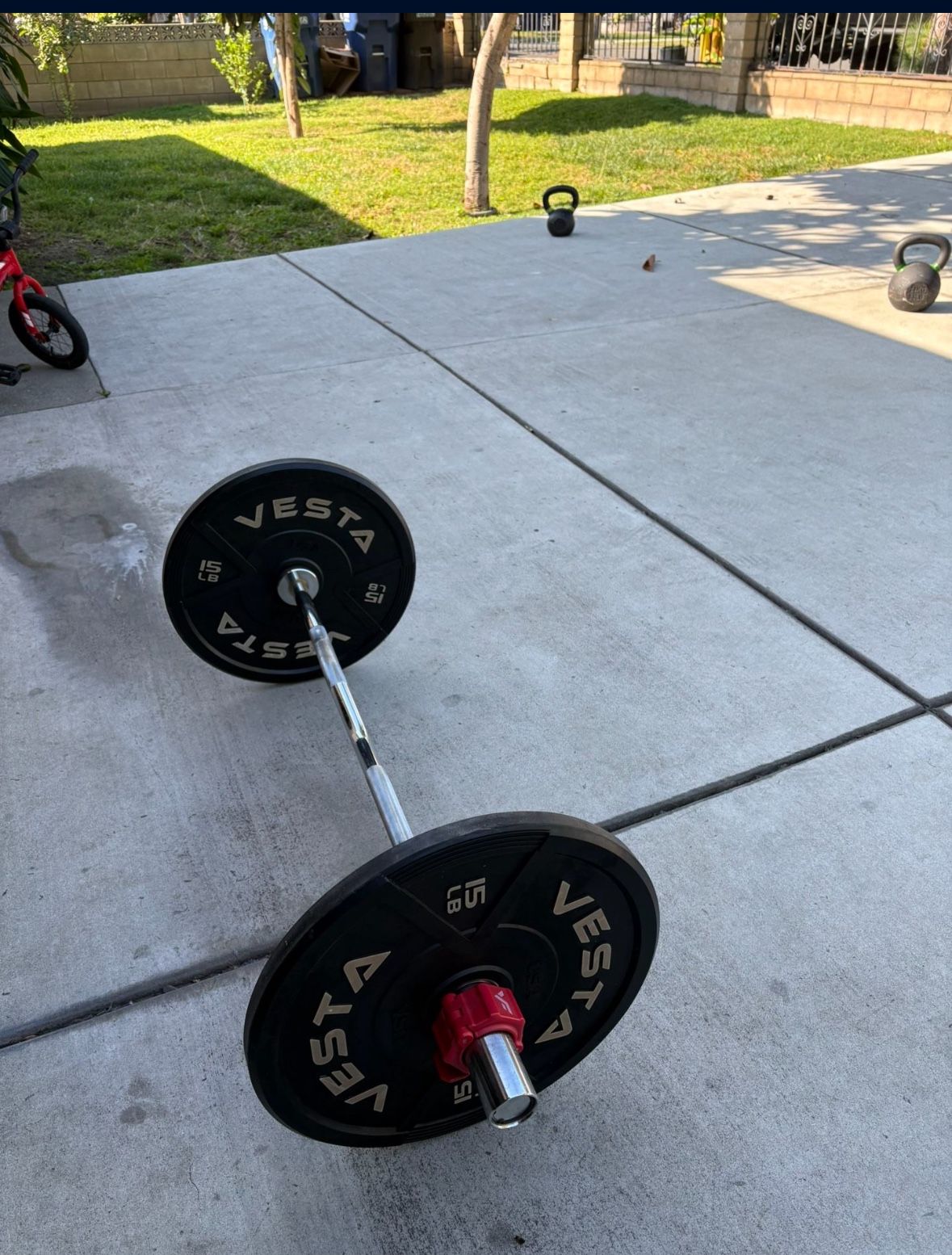 Ez Curl Bar Olympic With Weights 