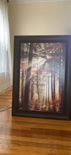 24*36 Lighten the Forest