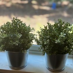 Fake Plants 