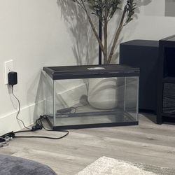 Reptile/Amphibian Tank 20G 