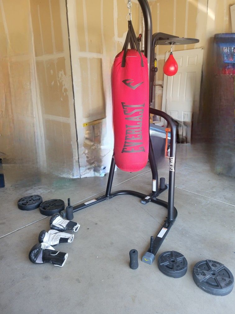 Everlast Mma Workout Station, Bag, Speedball, Weights, Gloves.