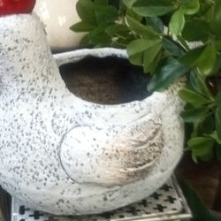 New Awesome Garden Planter High Quality Masterpiece Very Detailed 