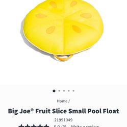 Pool floats