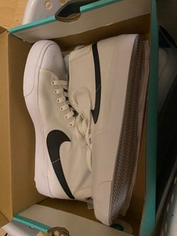 Nike SB BLZR Court Mid Skate Shoes