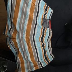 Brand New North Face Woman’s Size L Shorts 