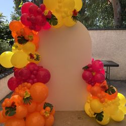 Ballon Arch And Backdrop
