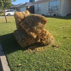 Free Hay