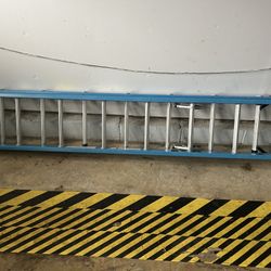 16 Ft Werner Ladder