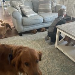 Couch And Love Seat 