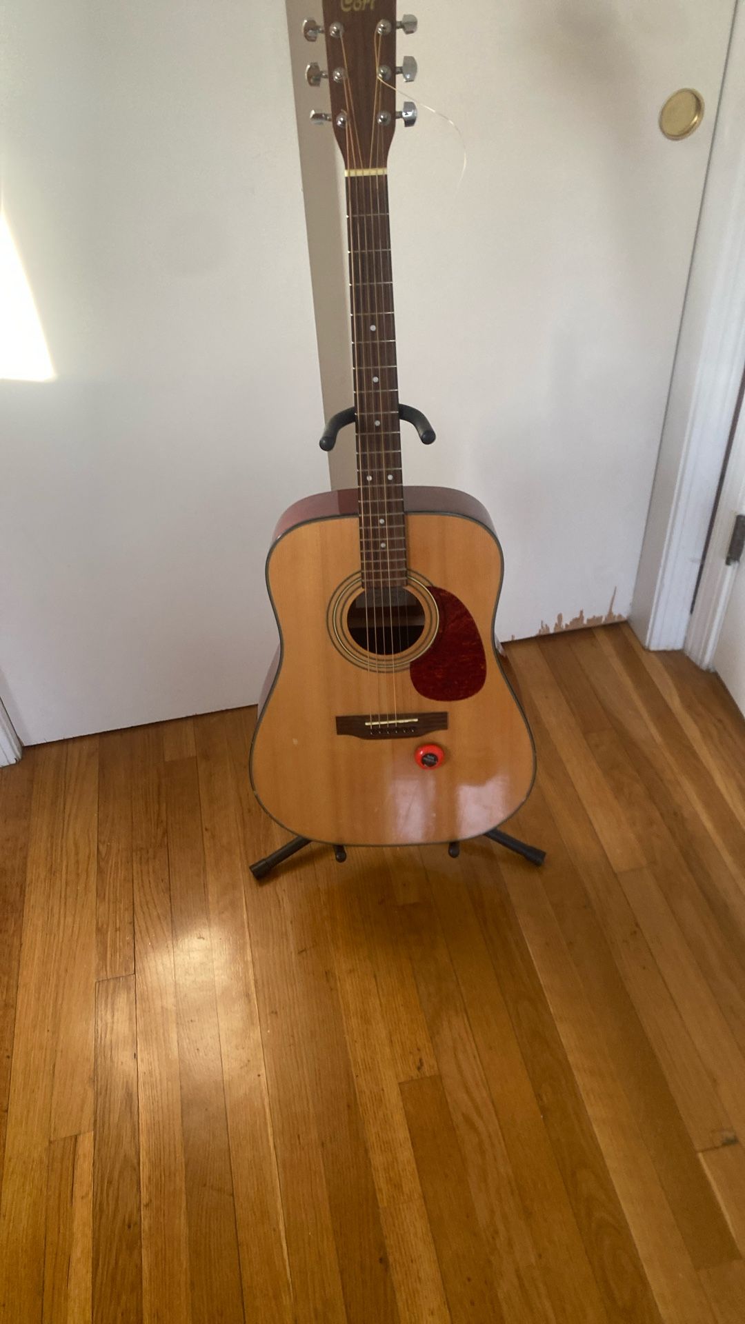 Acustic Guitar Cort
