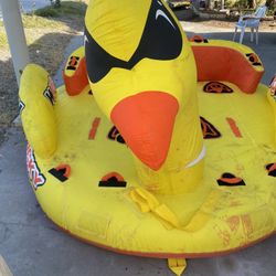 THE MEGA DUCKY