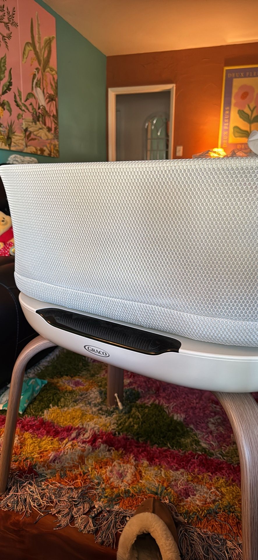 Graco Bassinet EXCELLENT CONDITION!