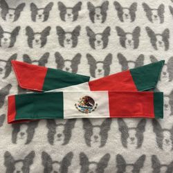Mexican Flag Headband & Wristband Set (New)
