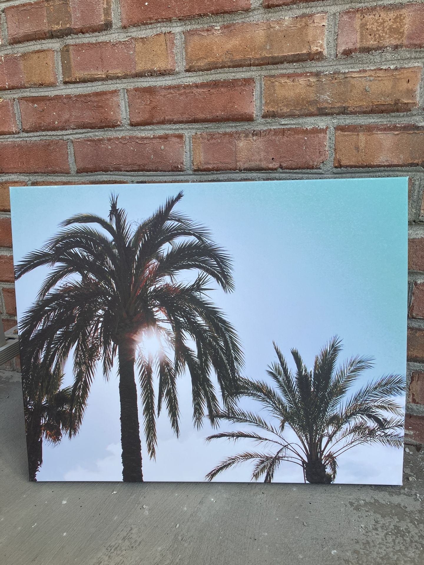 Palm Tree Canvas Wall Art