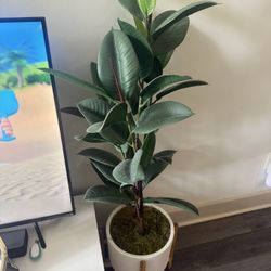 Planta De Decoración Plastica Parece Real 