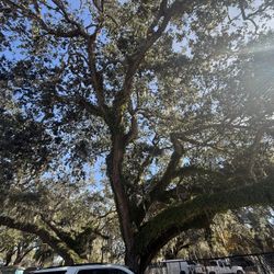 Se Está Contratando Personal De Construction.