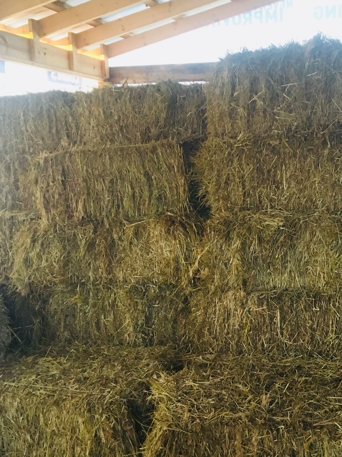 Hay small square bales