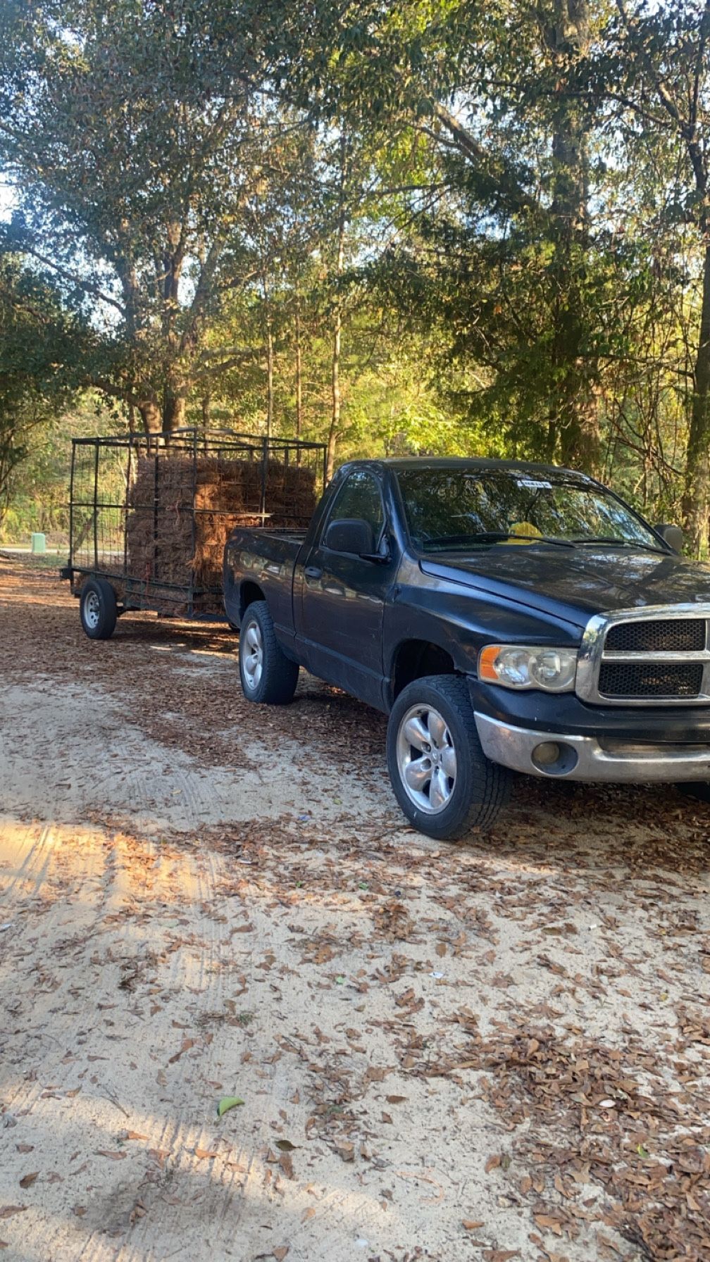 2009 Dodge Ram 1500