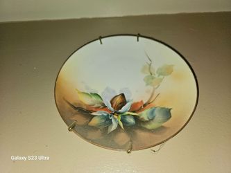 Hand-Painted Floral Decorative Porcelain Plate