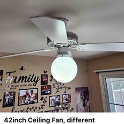 Ceiling Fan Excellent Condition 