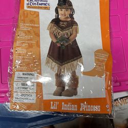 Indian Princess Cotume