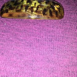 Beautiful Hair Clip 1.99