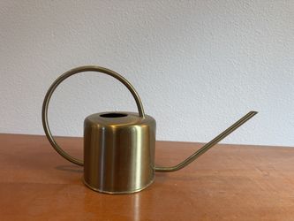Gold Metal Indoor Plant Watering Can
