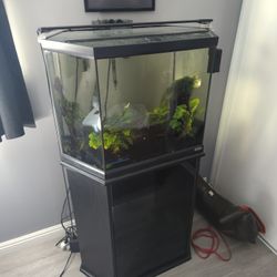 35 Gallon Hexagon Tank /Fikter