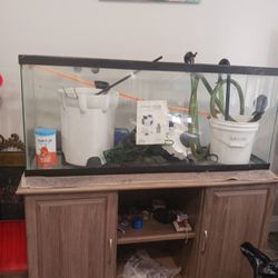 Fish Tank Everything Included 50 Gallon Tank $150 Or Best Offer