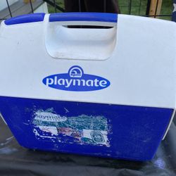 Cooler