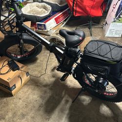Electric Bike 