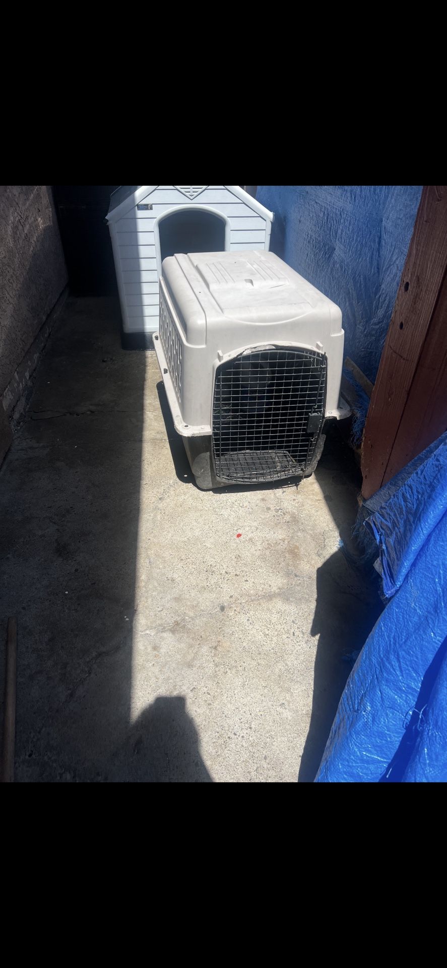 Dog House