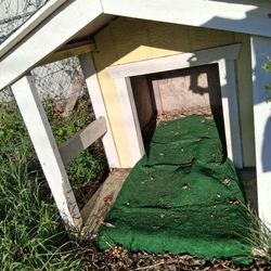 Custom Dog House