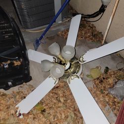 Ceiling Fan
