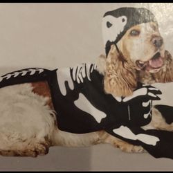 Dog Halloween Costume 