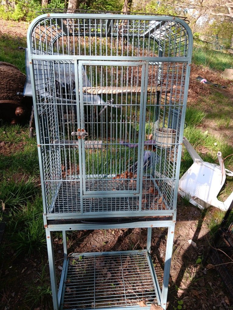 Bird Cage