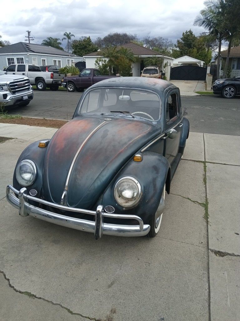 1964 Vw Beetle 