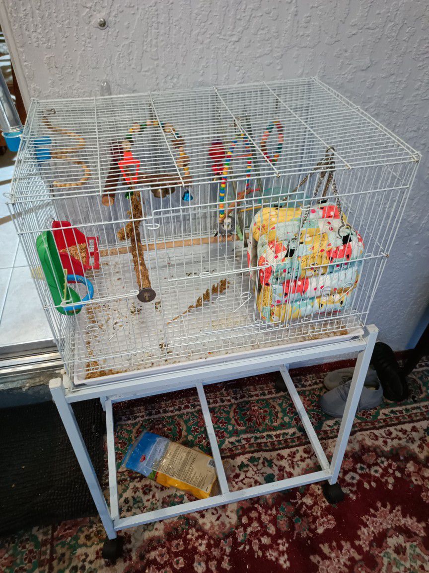 Parakeet Bird Cage And All Supplies