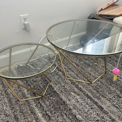 Double Coffee Table