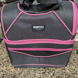 Igloo Lunch Bag