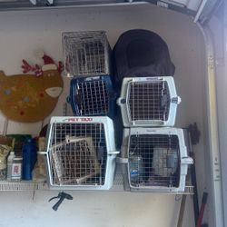 Cat Carriers