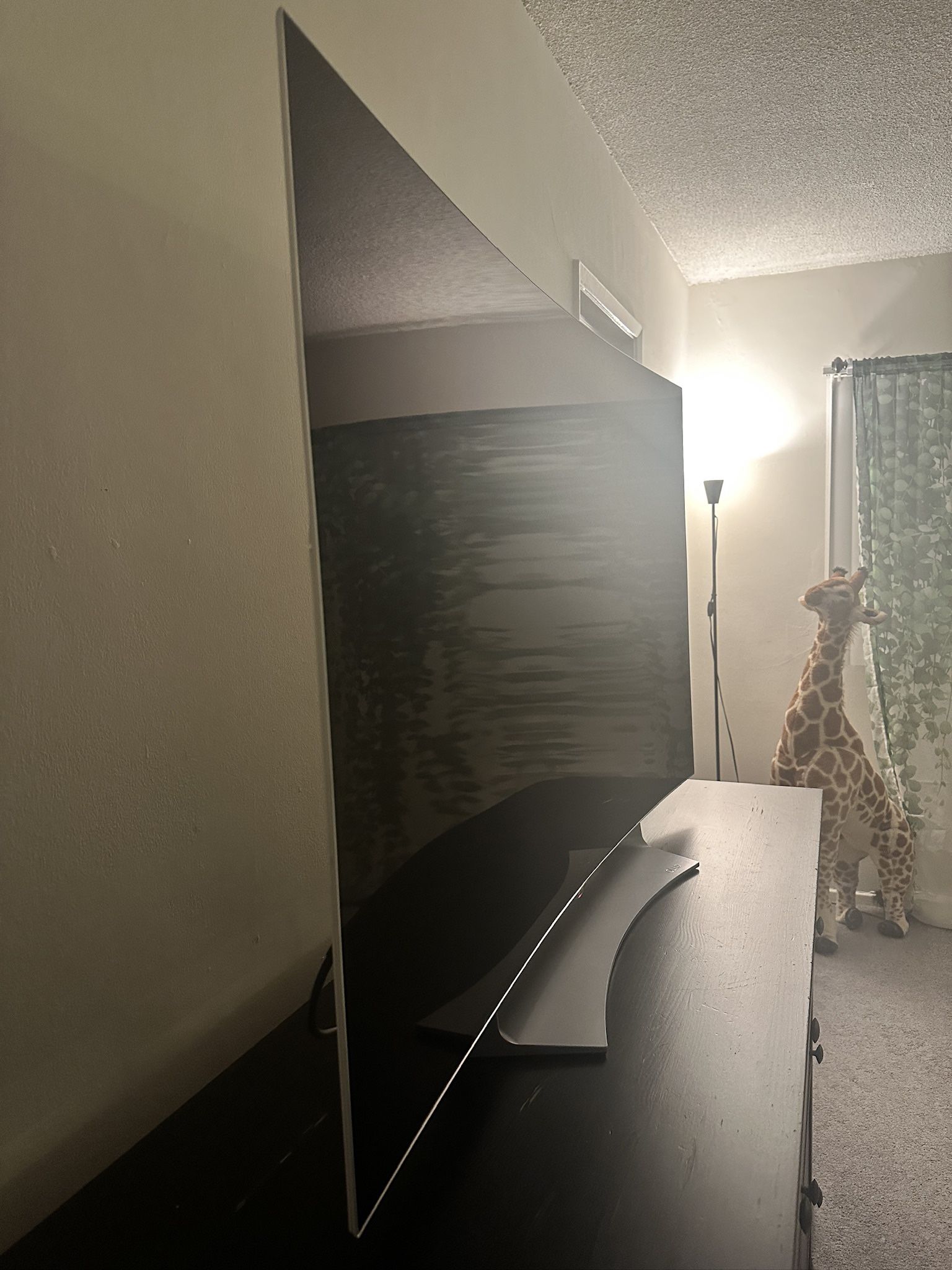 LG 55” OLED Curved Monitor