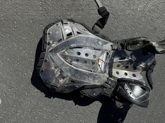 Chest protector