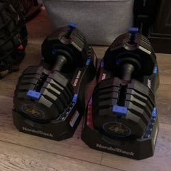 NordicTrack Weights 