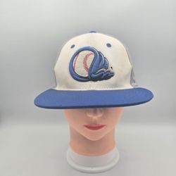 Zephyr Uknown Baseball Logo FittedHat Size Small. 2