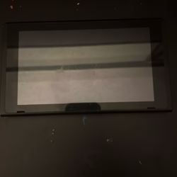 Nintendo Switch(without joycons but with controller)