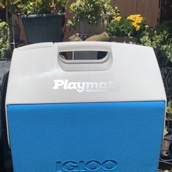 Igloo Cooler 16 Qt