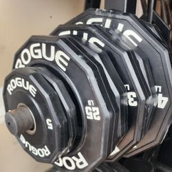 ROGUE WEIGHT PLATES - 12 Sided Urethane Grip Plate Weights Set 245lb Olympic Plate non Bumper for Home Gym Barbell