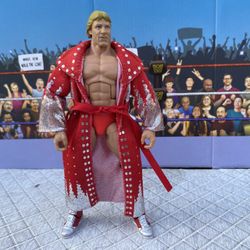 Wrestling Figure Sale : Mr Wonderful Action Figure 