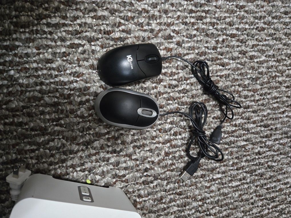 Computer Mouse